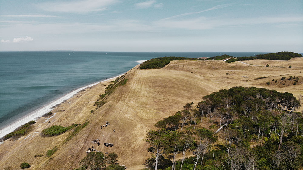 Samsø natur